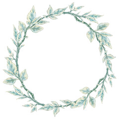 Fototapeta premium Pedilanthus branches frame. Watercolor clipart illustration of round composition on white background. For invitations, postcards, business cards. Decorating clothes, dishes, other printed materials.