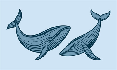 whale vector illustration