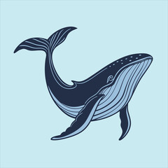Blue whale vector illustration 