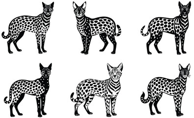 Serval wild animal silhouette black vector art design set