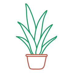 Indoor Scarlet Potted Sketch. Vector flower in a pot. Doodle color line illustration of a plant