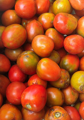 tomatoes in the market