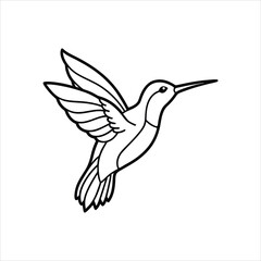vector illustration of a hummingbird