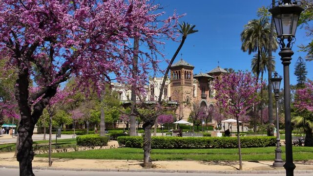 Beautiful spring day in Seville with colorful trees and palms in Maria Luisa Park