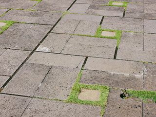 Grey stone paving slabs with green grass growing between the cracks