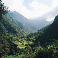 Fototapeta premium Majestic mountains covered in lush green forests, bathed in sunlight, with rolling hills and a peaceful atmosphere.