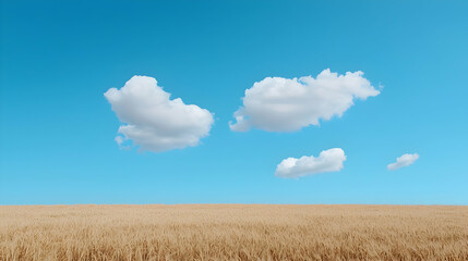 Obraz premium Golden Wheat Field Under a Blue Sky with Puffy White Clouds