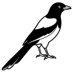 Elegant Magpie in One-Line Vector Design