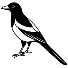 Elegant Magpie in One-Line Vector Design