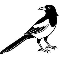 Elegant Magpie in One-Line Vector Design