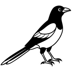 Elegant Magpie in One-Line Vector Design