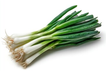 Fresh Green Onion Bundle on White