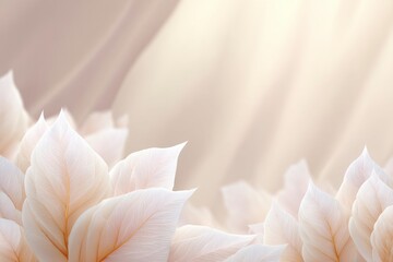 White Leaves and Soft Light