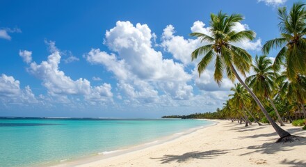 Fototapeta premium Tropical beach with palm trees white sand turquoise water and blue sky.