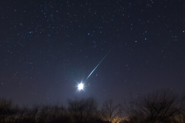 Night sky photography with shooting star meteor shower astrophotography space landscape trees dark sky 100 character