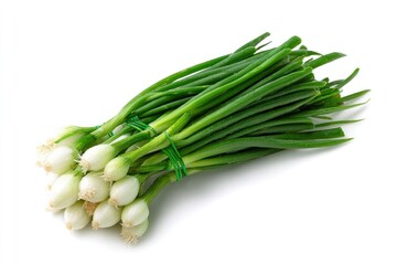 Green Onion Bunch Isolated