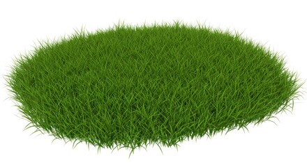 Round patch of green grass isolated on white background.