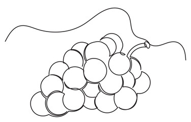 One continuous line drawing of a grape bunch, minimalist and clean. A simple, line art grape isolated on a white background vegan symbol in linear doodle style. Great for organic food designs vector.