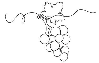 One continuous line drawing of a grape bunch, minimalist and clean. A simple, line art grape isolated on a white background vegan symbol in linear doodle style. Great for organic food designs vector.