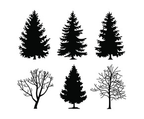 Fototapeta premium Isolated Vector Template of Alder Tree Silhouette