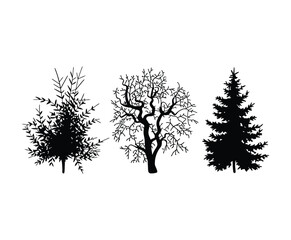 Silhouette of Alder Tree EPS Vector Template