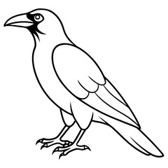 Elegant One-Line Crow Vector Drawing