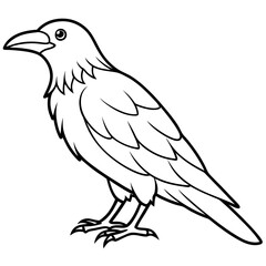 Elegant One-Line Crow Vector Drawing
