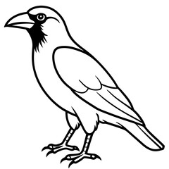 Elegant One-Line Crow Vector Drawing