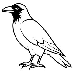 Elegant One-Line Crow Vector Drawing