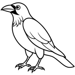 Elegant One-Line Crow Vector Drawing