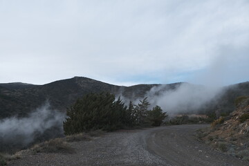 mist in the mountains