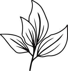 Decorative Leaves lineart