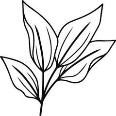 Leaves lineart