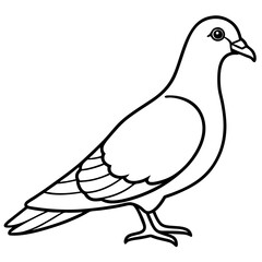 Elegant Pigeon One-Line Vector Art