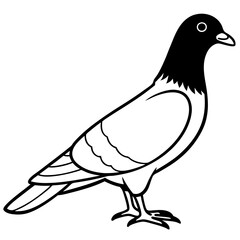 Elegant Pigeon One-Line Vector Art