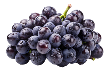 A bunch of black grapes with dewdrops isolated on a transparent PNG