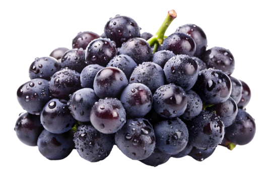 A bunch of black grapes with dewdrops isolated on a transparent PNG