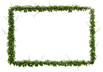 Green Leaf Border Frame