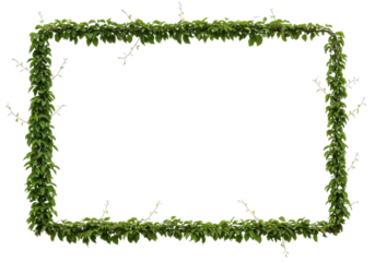 Green Leaf Border Frame