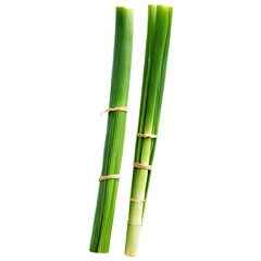 Obraz premium Bundles of Green Onions Tied Together
