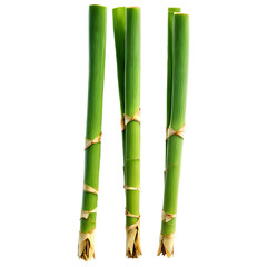 Obraz premium Three Green Bamboo Stalks