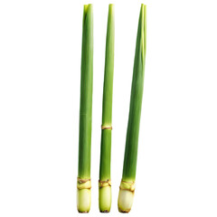 Fototapeta premium Three Stalks of Green Grass