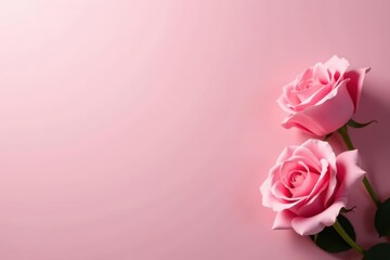 Fototapeta premium Soft pink backdrop, delicate roses, elegant mood , botany, background image, still life