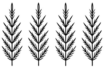 Fir Branch Sketch Style Vector Set