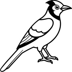 Jay One-Line Art Vector Illustration