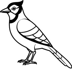 Jay One-Line Art Vector Illustration