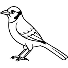 Jay One-Line Art Vector Illustration