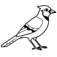 Jay One-Line Art Vector Illustration