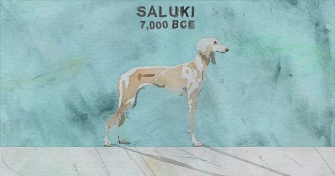 Dogs Evolution Timeline in Watercolor Painting Style