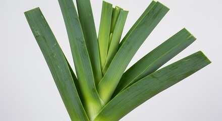 Obraz premium Detailed Botanical Real Shot Isolated White Background Of Leek Allium Ampeloprasum Highlighting Bulb And Leaf Arrangement Featuring Fresh Green Textures Perfect For Culinary